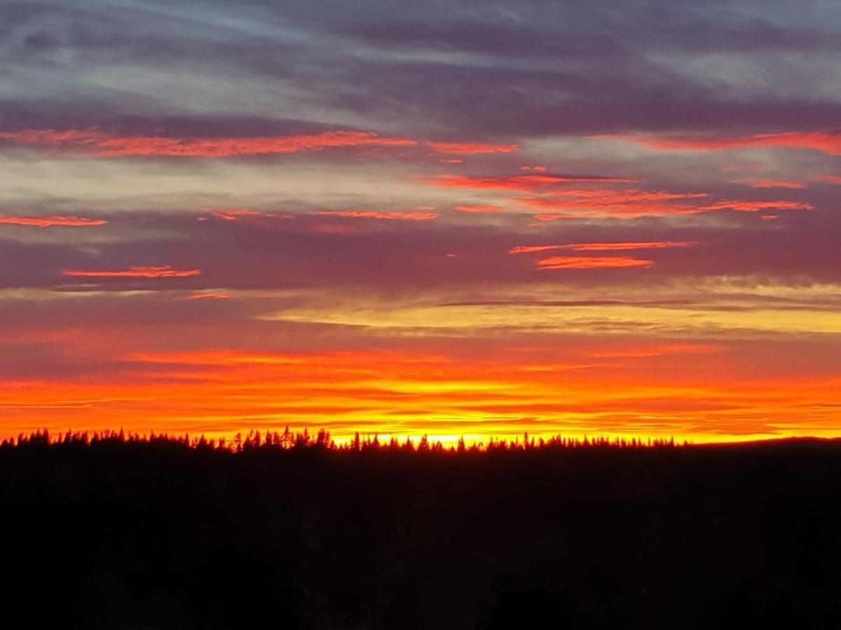 Hostel And Vandrarhem Lupin Naturcamping Lagom Gräsmark Kültér fotó