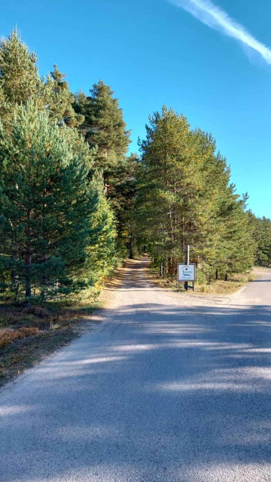 Hostel And Vandrarhem Lupin Naturcamping Lagom Gräsmark Kültér fotó